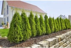 GARDENA Micro Drip System Startset L Druppelsysteem - 50 Meter -Tuin- En Buitenwinkels 1200x814 3