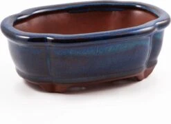 Happy Seed Keramieken Bonsai Pot (schaal) - Marine Blauw - Geglazuurd -Tuin- En Buitenwinkels 1200x873