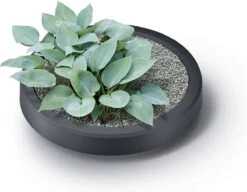 Tube - Regenton - 2-in-1 - 230 Liter - Antraciet -Tuin- En Buitenwinkels 1200x935 5