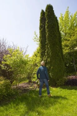 GARDENA TeleCut Heggenschaar - Telescopische Handgrepen Van 70-90 Cm -Tuin- En Buitenwinkels 799x1200 30