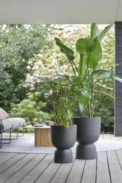 Elho Pure Coupe 35 - Bloempot Voor Binnen & Buiten - Ø 34.9 X H 49.0 Cm - Zwart/Zwart -Tuin- En Buitenwinkels 800x1200 114