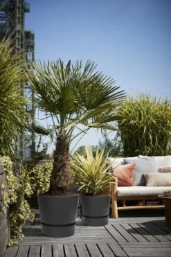 Elho Greenville Rond 40 - Grote Bloempot Voor Buiten - Gemaakt Van Gereycled Plastic - Ø 39.0 X H 36.8 Cm - Living Black -Tuin- En Buitenwinkels 800x1200 118