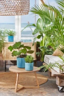 Elho The Ocean Collection Round 22cm - Bloempot Voor Binnen - 100% Gerecycled Materiaal - Gemaakt Met Zeeafval - Ø 22.3 X H 20.4 Cm - Atlantisch Blauw -Tuin- En Buitenwinkels 800x1200 119