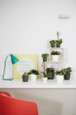 Elho B.for Soft Rond 35 - Bloempot Voor Binnen - Ø 34.5 X H 32.3 Cm - Antraciet -Tuin- En Buitenwinkels 800x1200 127