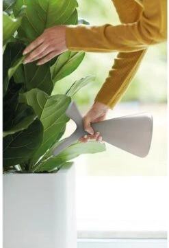 Elho Plunge Gieter 20 - Gieter Voor Binnenaccessoires - Ø 15.0 X H 29.5 Cm - Grijs/Warm Grijs -Tuin- En Buitenwinkels 820x1200 3