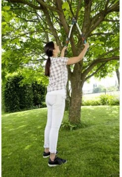 GARDENA - TeleCut Telescopische - Takkenschaar 520-670B - 42 Mm Verstelbare Lengte -Tuin- En Buitenwinkels 826x1200 1