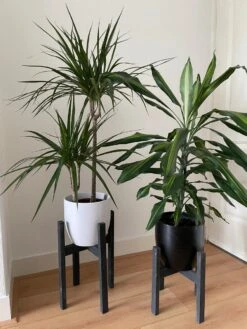 Plantenstandaard Binnen - Set Van 2 - Diameter Tot 24 Cm - Plantenkruk - Bloempotten Voor Binnen - Plantentafeltje Voor Binnen - Bloempot Standaard - Plantenstandaard - Hout - Mat Zwart/Donkergrijs -Tuin- En Buitenwinkels 900x1200 21