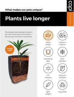 Capi Europe - Bloempot Vierkant Rib NL - 30x30x30 - Zwart - Voor Binnen En Buiten - KBLR902 -Tuin- En Buitenwinkels 917x1200