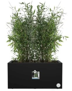 Elho Vivo Next Lang 60 - Bloempot Voor Binnen & Buiten - Ø 59.0 X H 29.2 Cm - Zwart/Living Black -Tuin- En Buitenwinkels 956x1200 3
