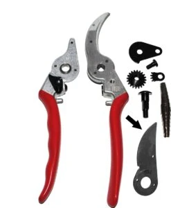 Felco 2 + GRATIS Felco Handschoenen In Cadeauverpakking -Tuin- En Buitenwinkels 987x1200 1