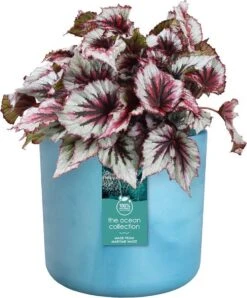 Elho The Ocean Collection Round 22cm - Bloempot Voor Binnen - 100% Gerecycled Materiaal - Gemaakt Met Zeeafval - Ø 22.3 X H 20.4 Cm - Atlantisch Blauw -Tuin- En Buitenwinkels 995x1200 1