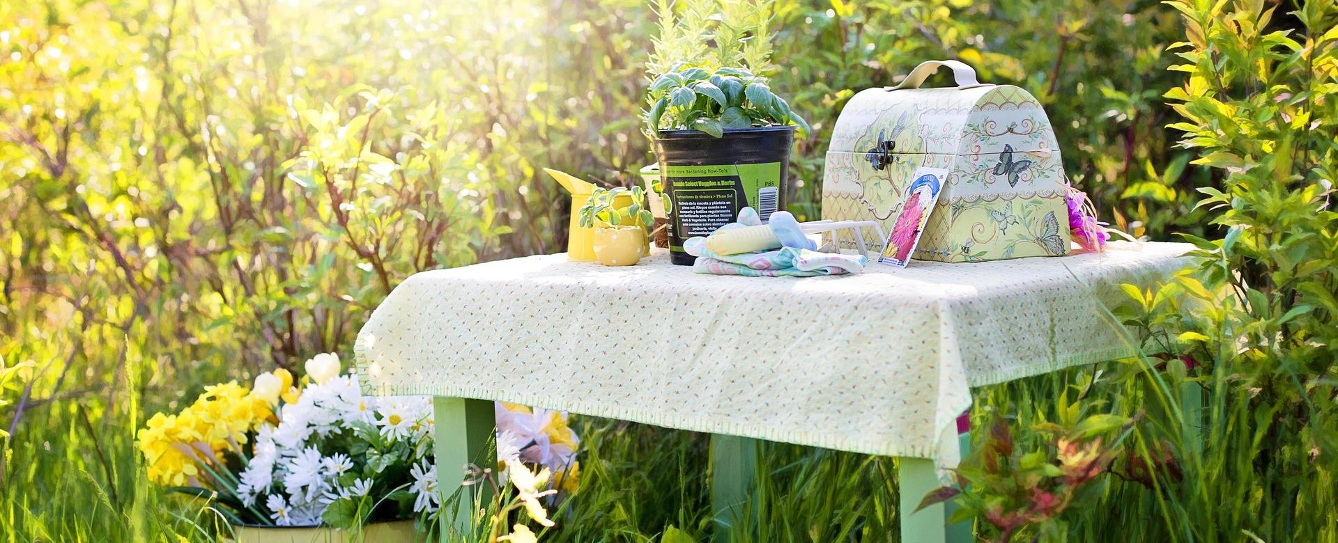 Tuin- En Buitenwinkels -Tuin- En Buitenwinkels planting 780738 1920